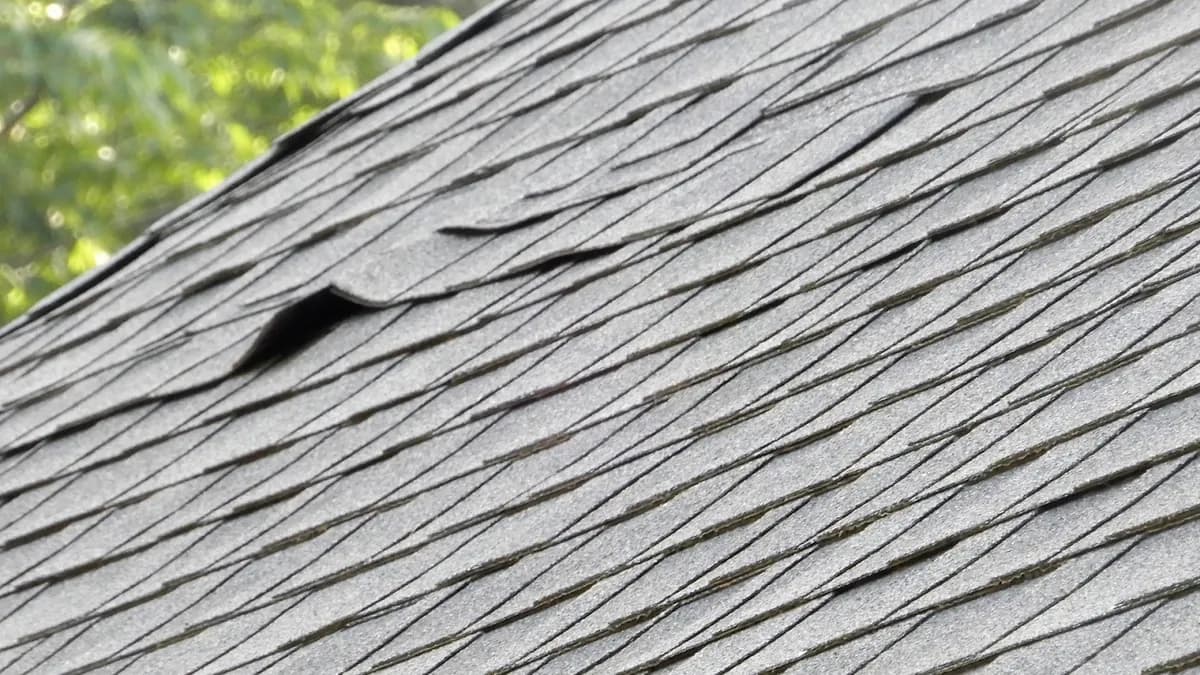 Curling Roof Shingles? What It Means And How To Fix It Before It’s Too Late