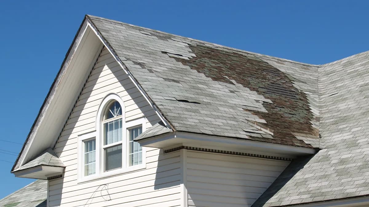 Top 7 Signs Of Roof Damage Every Homeowner Should Know